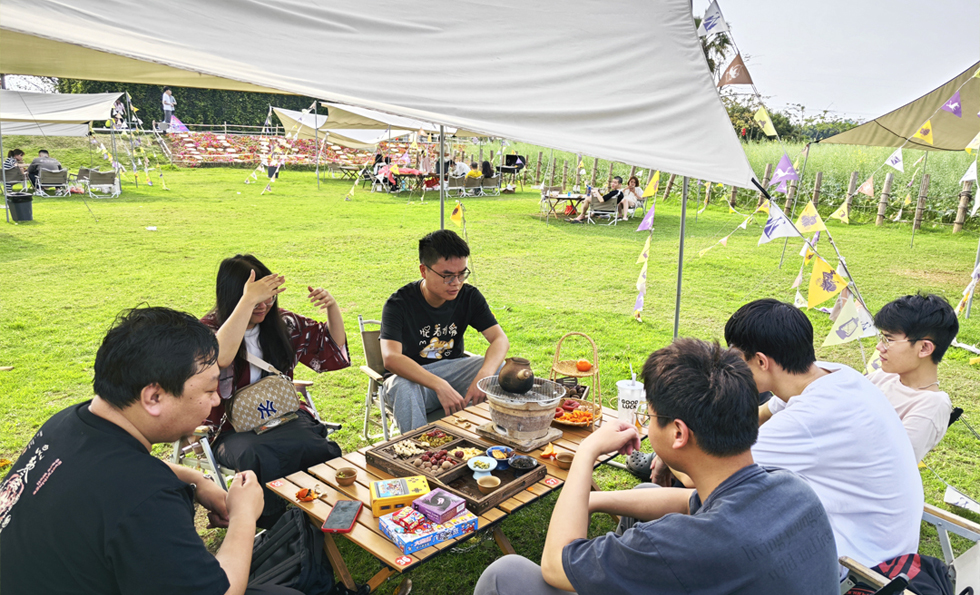 香港全年最全免费资料大全