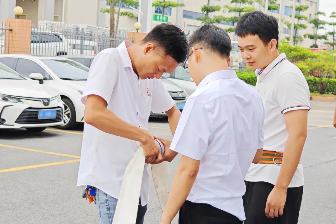 香港全年最全免费资料大全